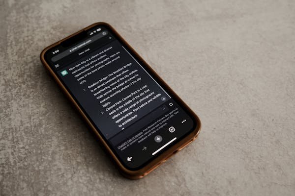 Découvrez comment utiliser le bot vinted sur discord